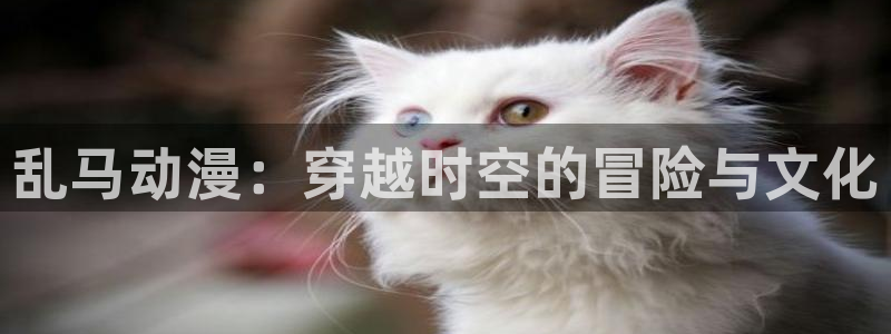 omofun.动漫在线看