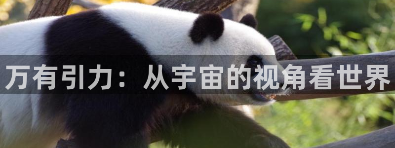 omofun动漫在线观看看：万有引力：从宇宙的视角看世界
