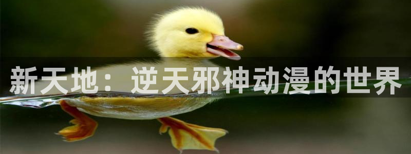 omofun最新：新天地：逆天邪神动漫的世界
