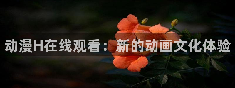 omofun免费看动漫：动漫H在线观看：新的动画文化体验
