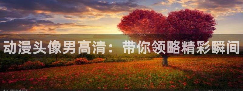 omofun最新：动漫头像男高清：带你领略精彩瞬间