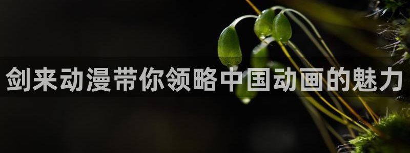 omofun动漫正版：剑来动漫带你领略中国动画的魅力