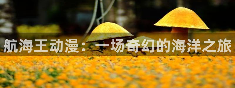 omofun纯净版：航海王动漫：一场奇幻的海洋之旅