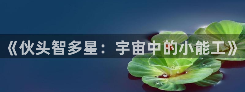 omofun官方网站入口：《伙头智多星：宇宙中的小能工》