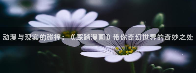 omofun怎么自签：动漫与现实的碰撞：《踩踏漫画》带你奇幻世界的奇妙之处