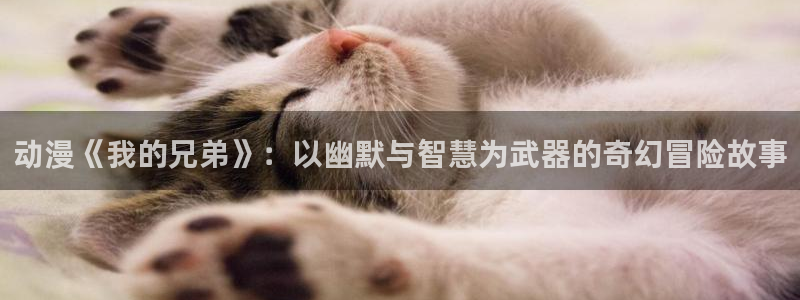omofun动漫：动漫《我的兄弟》：以幽默与智慧为武器的奇幻冒险故事