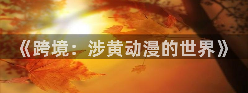 omofun动漫网站入口：《跨境：涉黄动漫的世界》