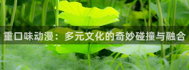 omofun动漫下载最新：重口味动漫：多元文化的奇妙碰撞与融合
