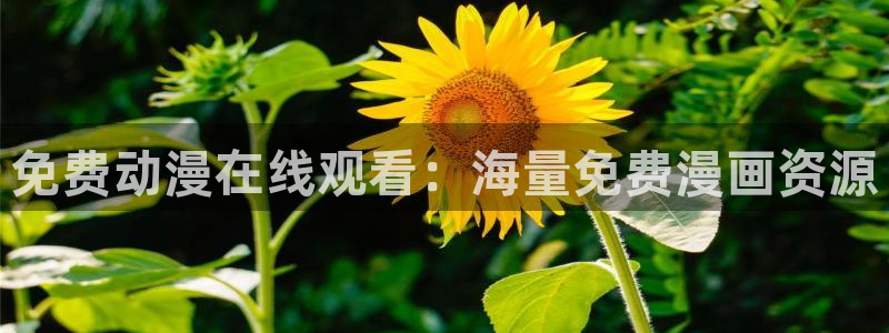 omofun动漫最新版本：免费动漫在线观看：海量免费漫画资源