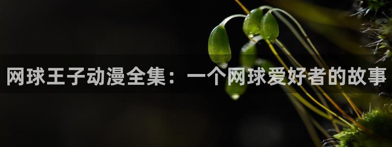 omofun完整版