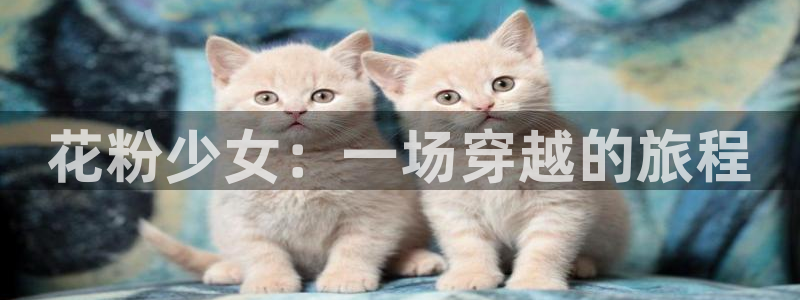 omofun动漫 官网