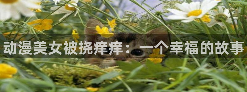 omofun复活版