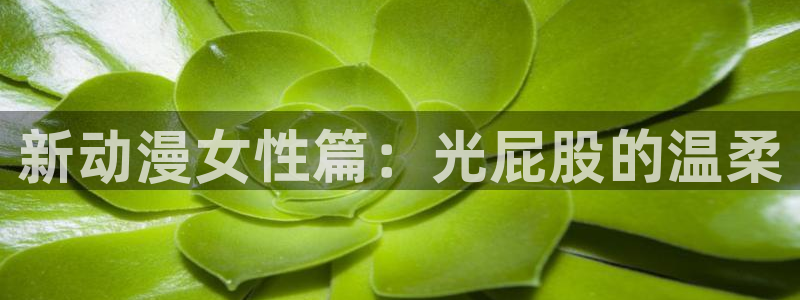 omofun动漫软件下载免费版