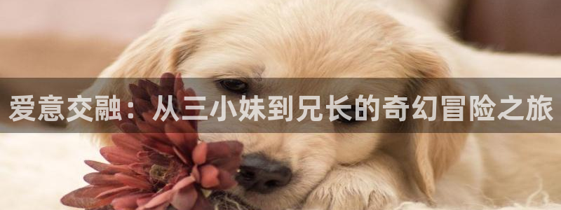 omofun官方网站app下载：爱意交融：从三小妹到兄长的奇幻冒险之旅