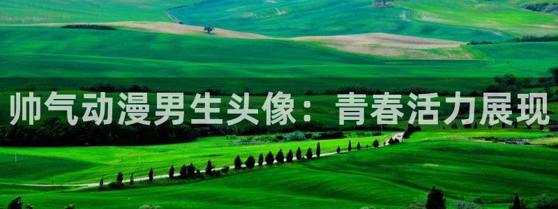 omofun动漫官方下载：帅气动漫男生头像：青春活力展现