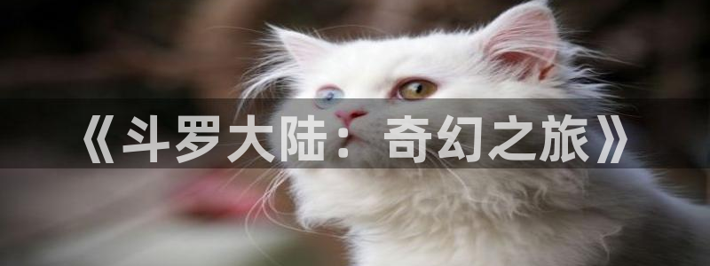 omofun官网正版下载：《斗罗大陆：奇幻之旅》