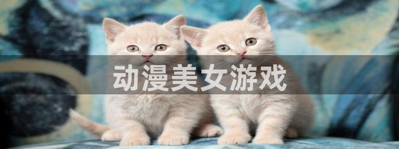 omofun(动漫共和国)：动漫美女游戏